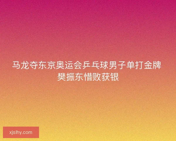 马龙夺东京奥运会乒乓球男子单打金牌 樊振东惜败获银