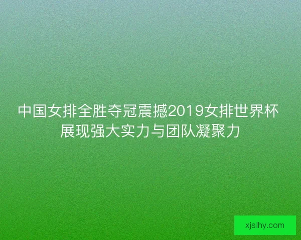 中国女排全胜夺冠震撼2019女排世界杯 展现强大实力与团队凝聚力
