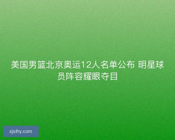 美国男篮北京奥运12人名单公布 明星球员阵容耀眼夺目