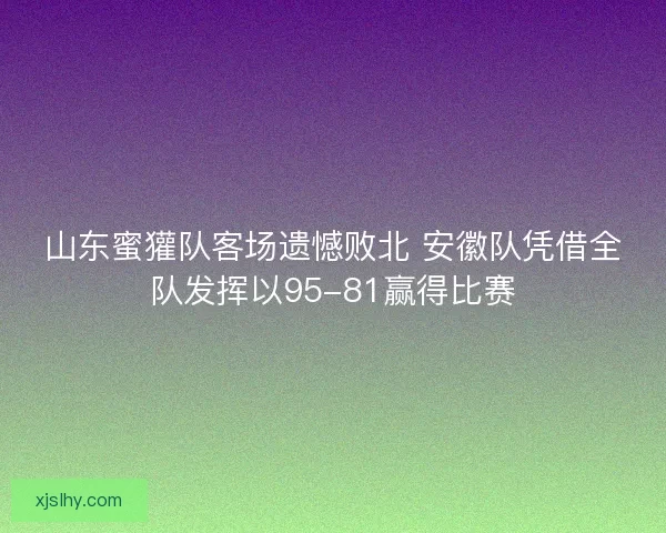 山东蜜獾队客场遗憾败北 安徽队凭借全队发挥以95-81赢得比赛