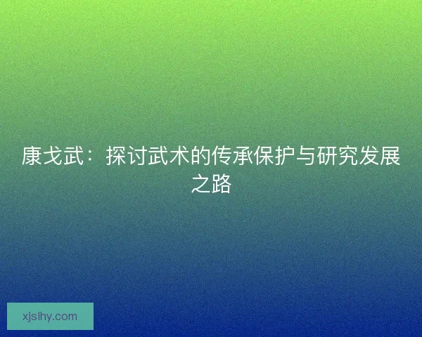 康戈武：探讨武术的传承保护与研究发展之路